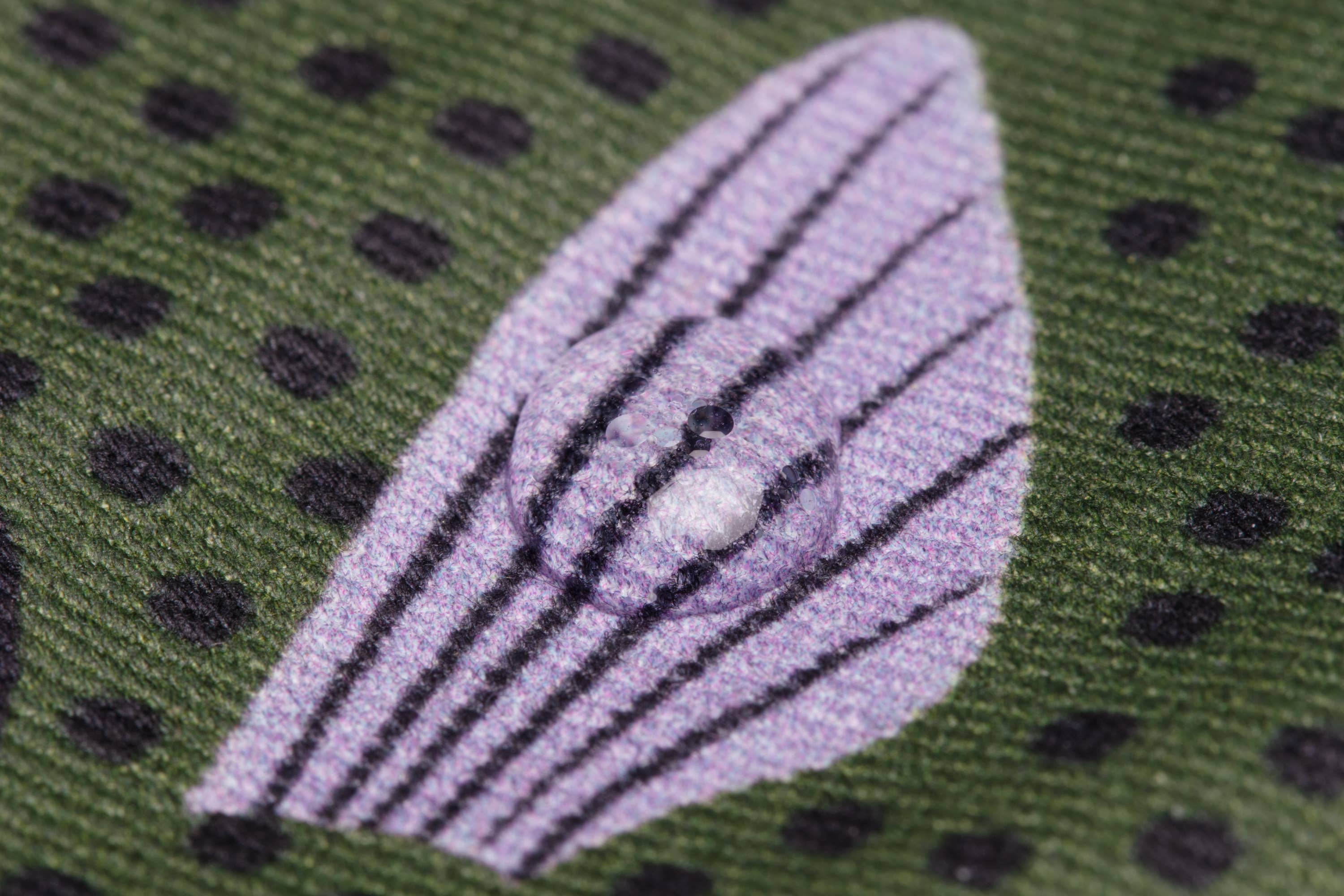 Sweeper Geldbörse oder Schlüsselanhänger mit Fischmotiv (grün)