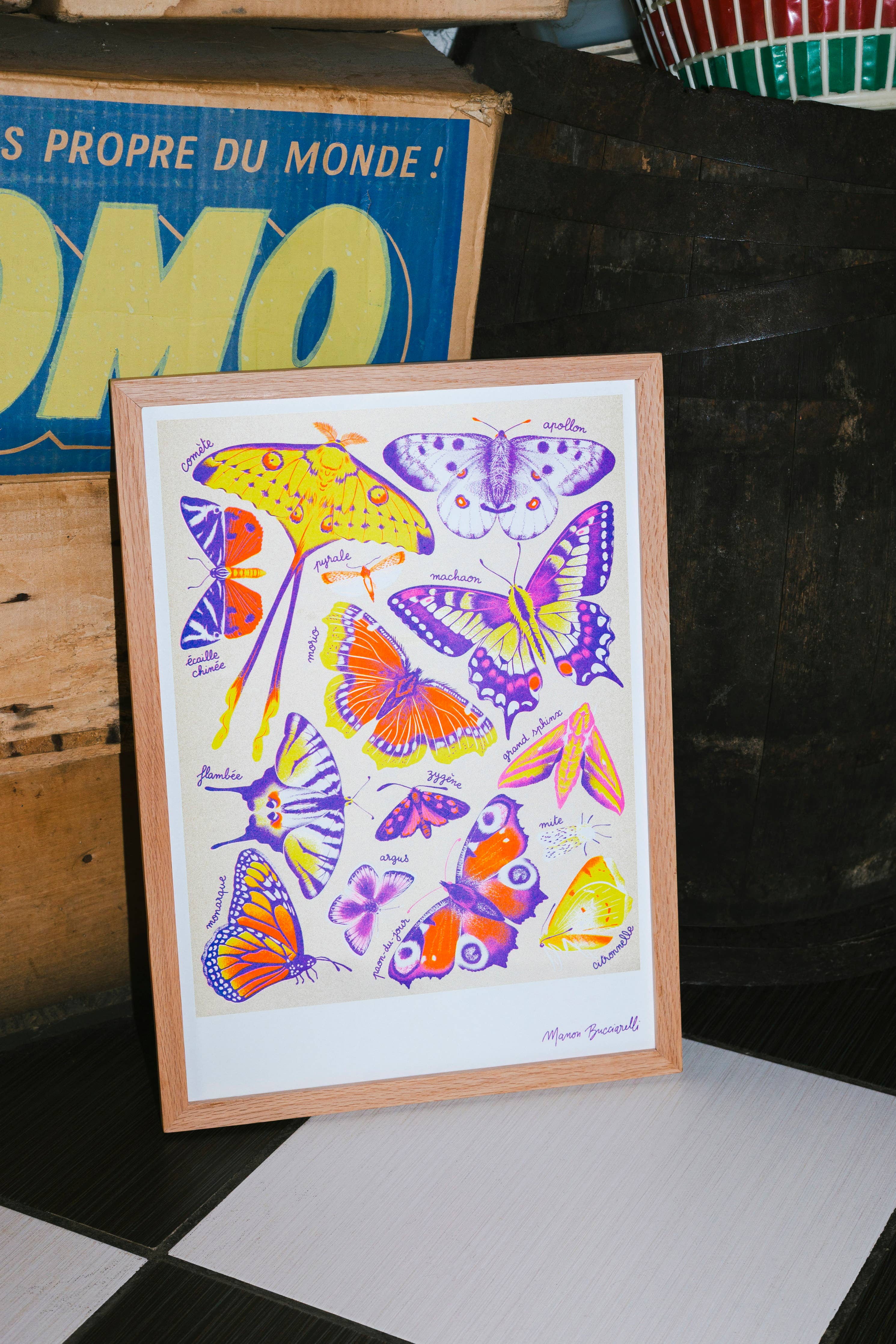 Art Print / A3 / Schmetterlinge