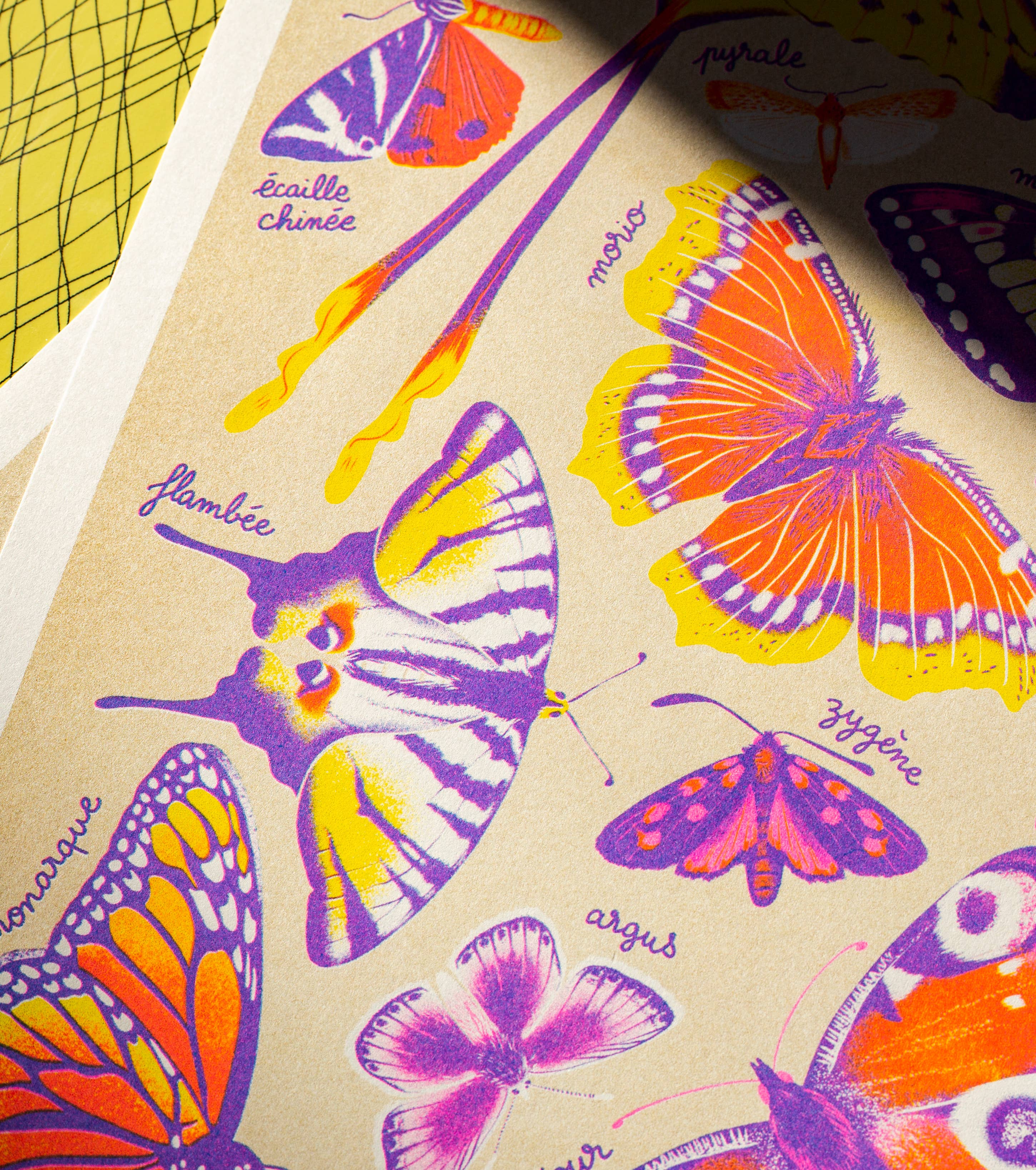 Art Print / A3 / Schmetterlinge