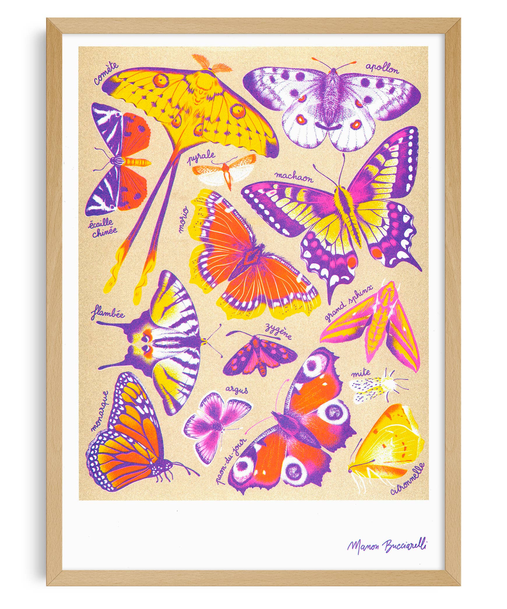 Art Print / A3 / Schmetterlinge