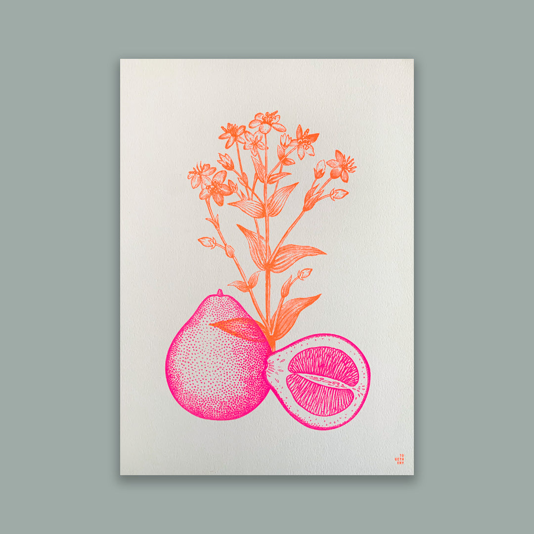 Art Print / Pomelo / A4 / Pflanzenfarbe