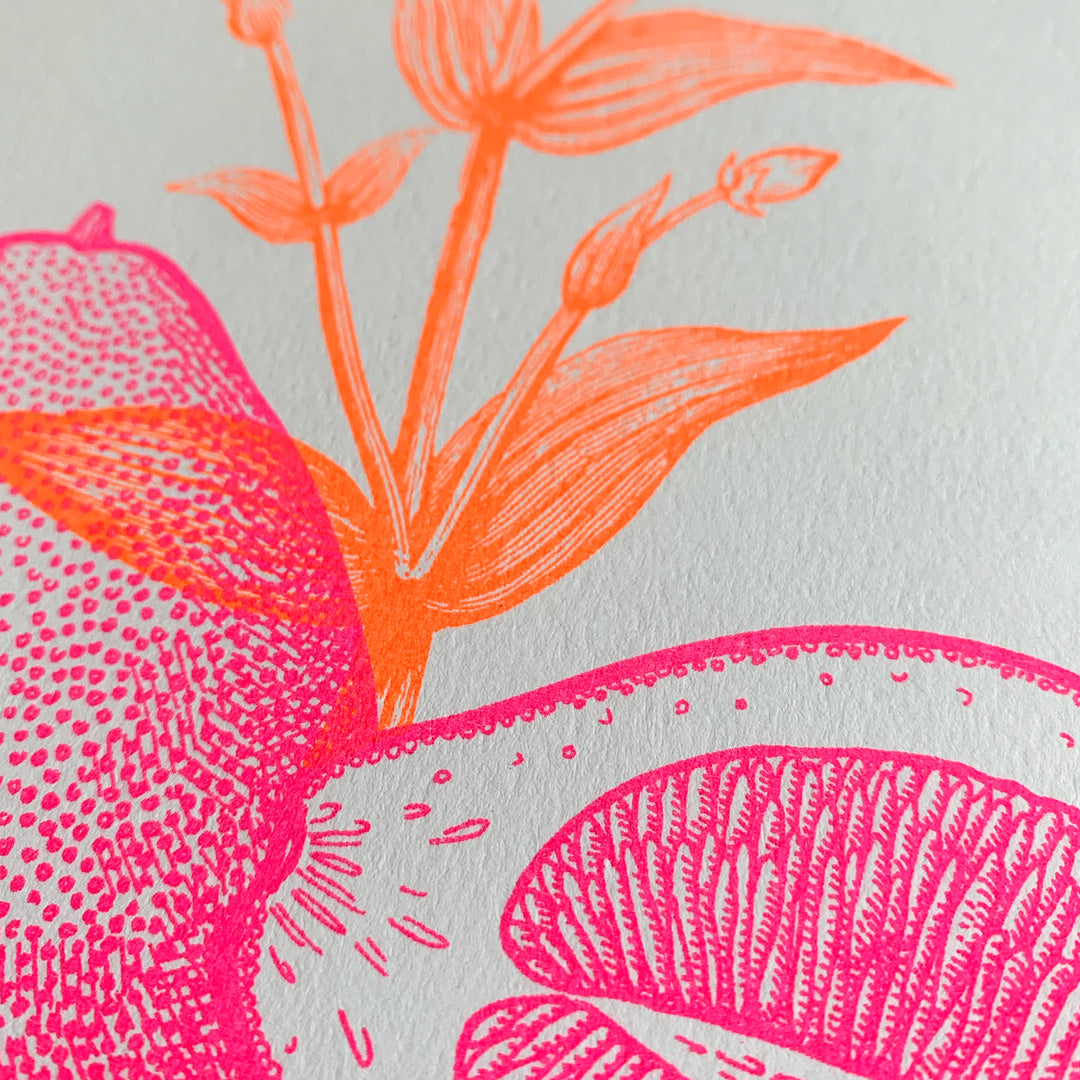 Art Print / Pomelo / A4 / Pflanzenfarbe