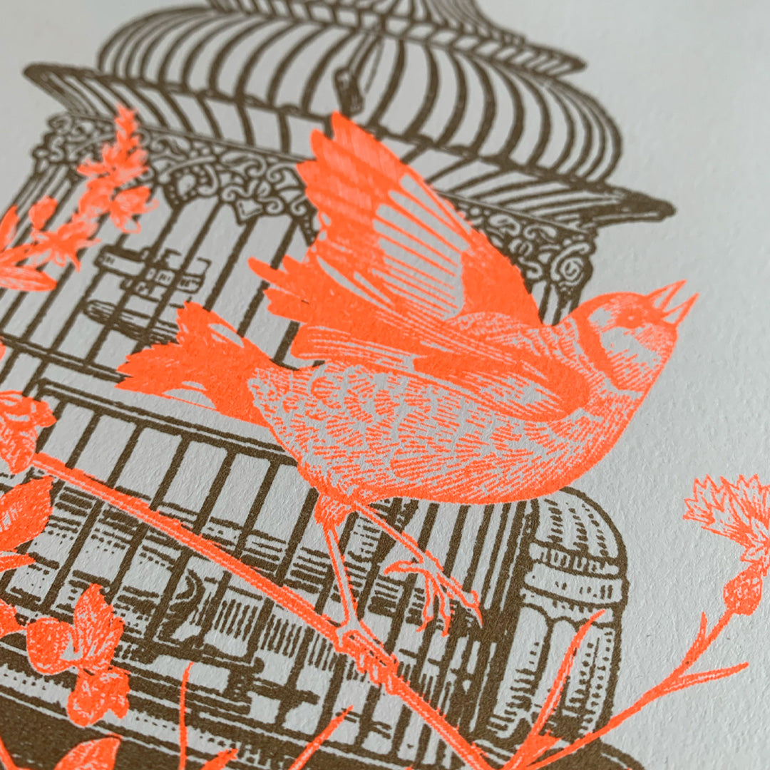 Art Print / Vogelkäfig / A4 / Pflanzenfarbe