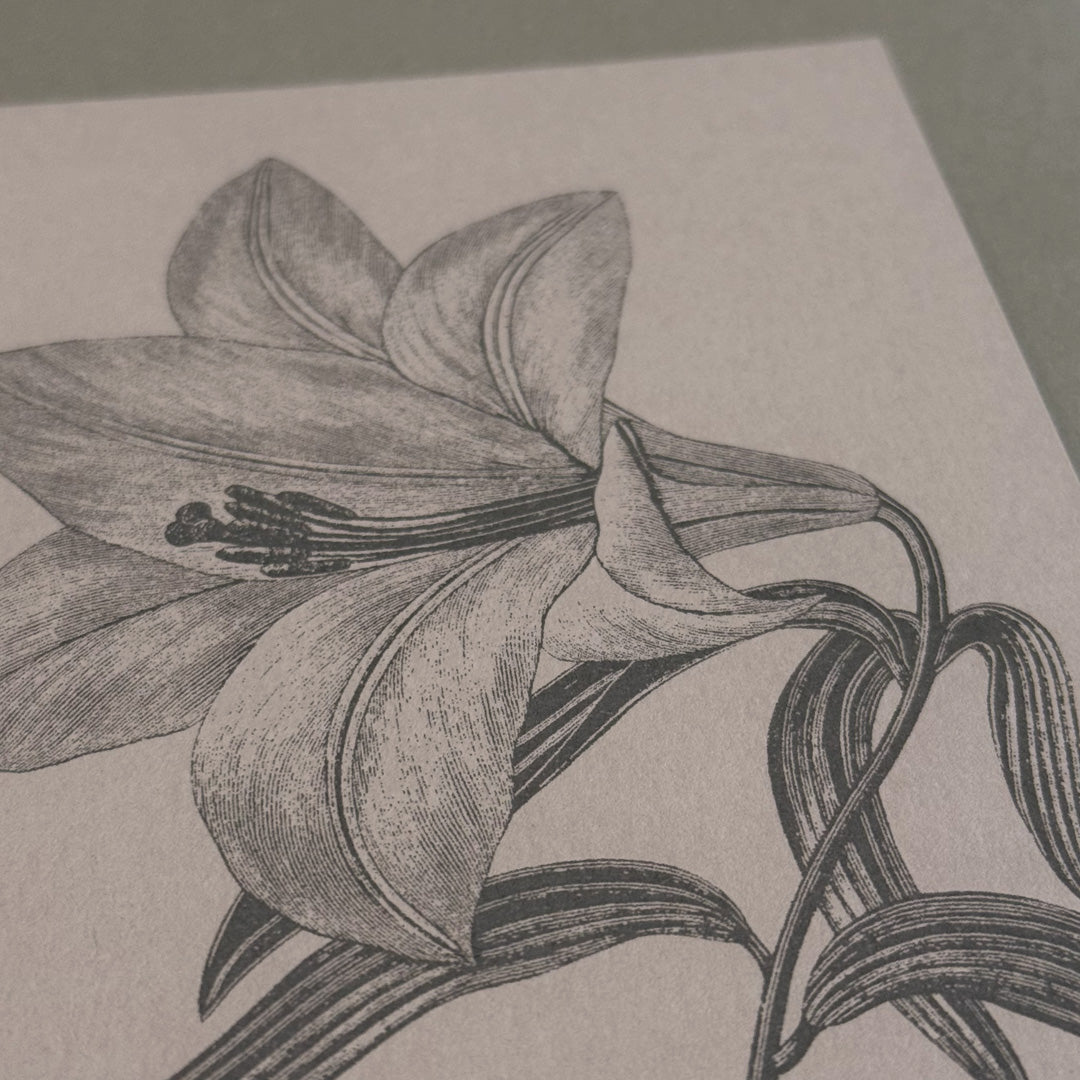 Karte mit Umschlag / Lilie / Premium Gmund Papier - Togethery