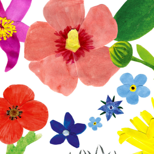 3 Blumenkugeln in Geschenkbox - Togethery