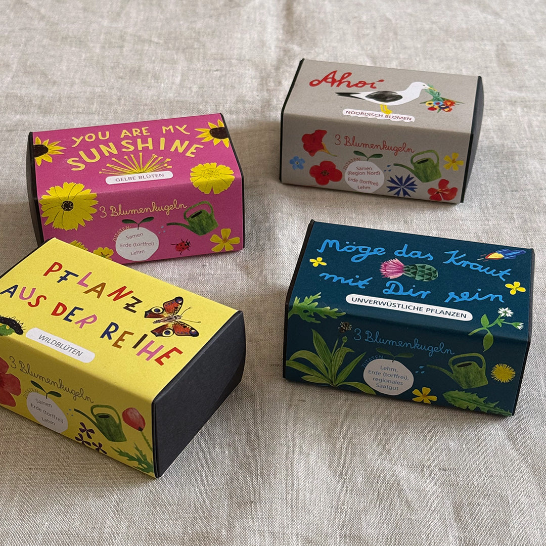 3 Blumenkugeln in Geschenkbox - Togethery