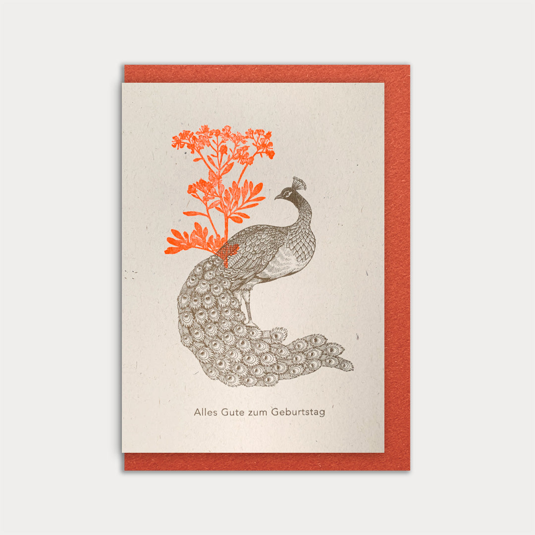 Klappkarte / Pfau / Alles Gute zum Geburtstag / Recyclingpapier - Togethery