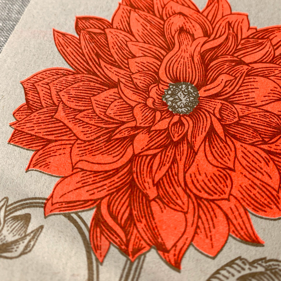 Postkarte / Dahlie - Togethery