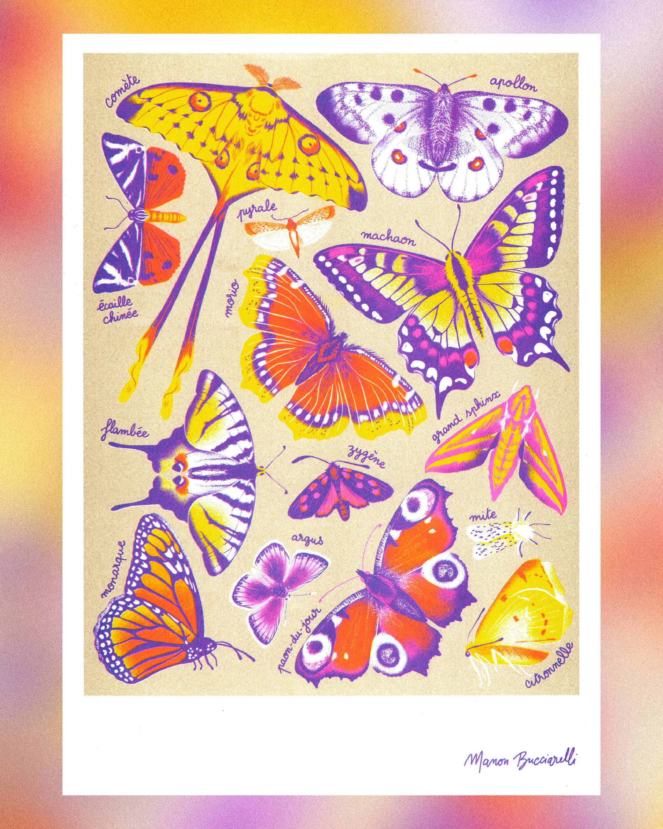 Art Print / A3 / Schmetterlinge