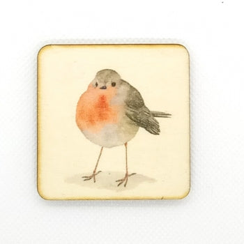 Magnet / Rotkehlchen