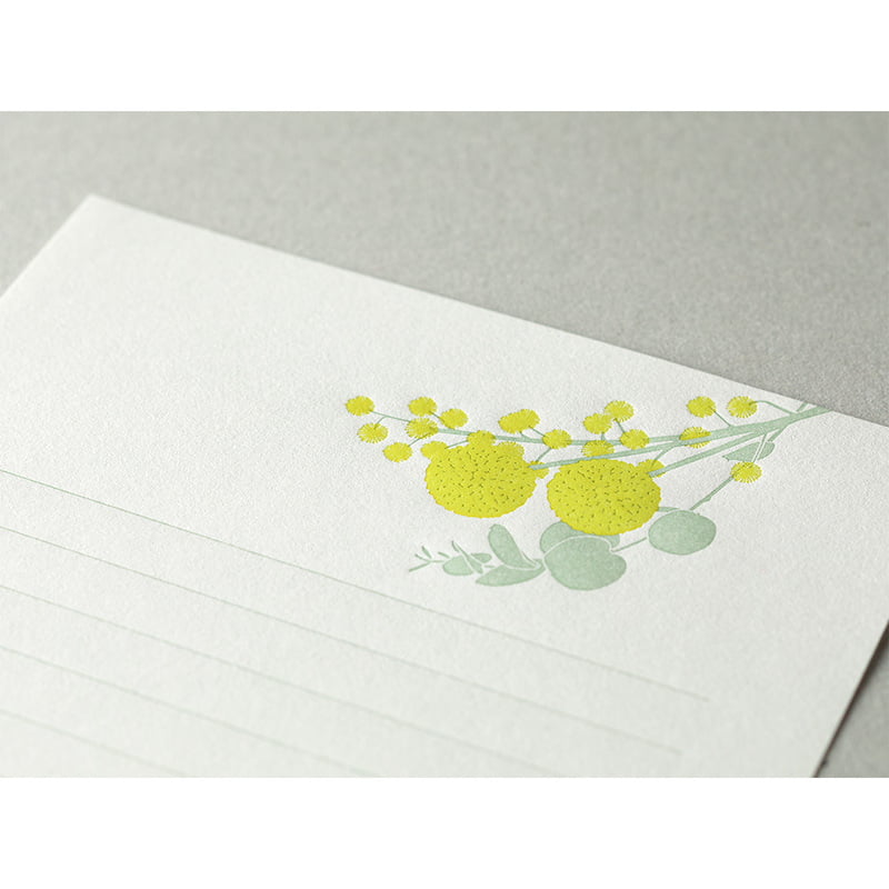 Midori / Briefpapier-Set / Letterpress / verschiedene Motive - Togethery