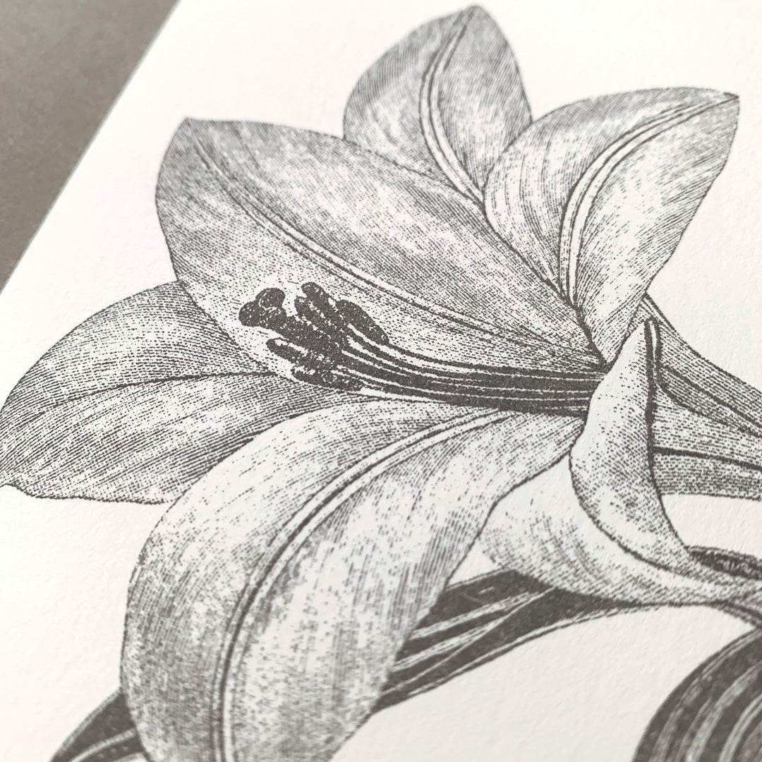 Klappkarte / Lilie / Naturpapier - Togethery