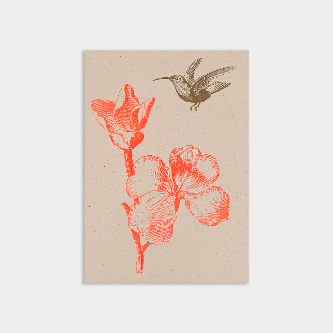 Postkarte / Blume mit Kolibri - Togethery