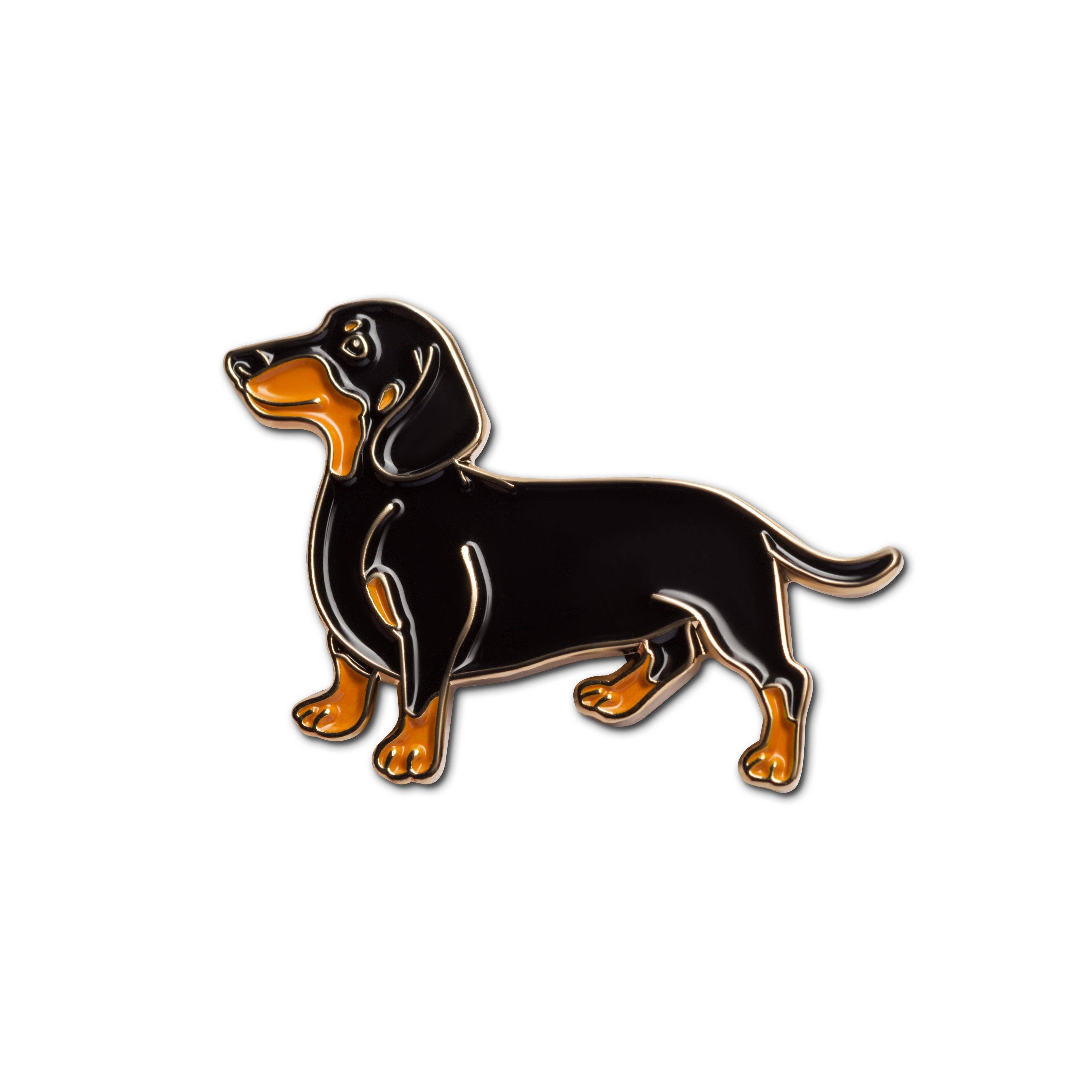 Pin / Dackel / Hund