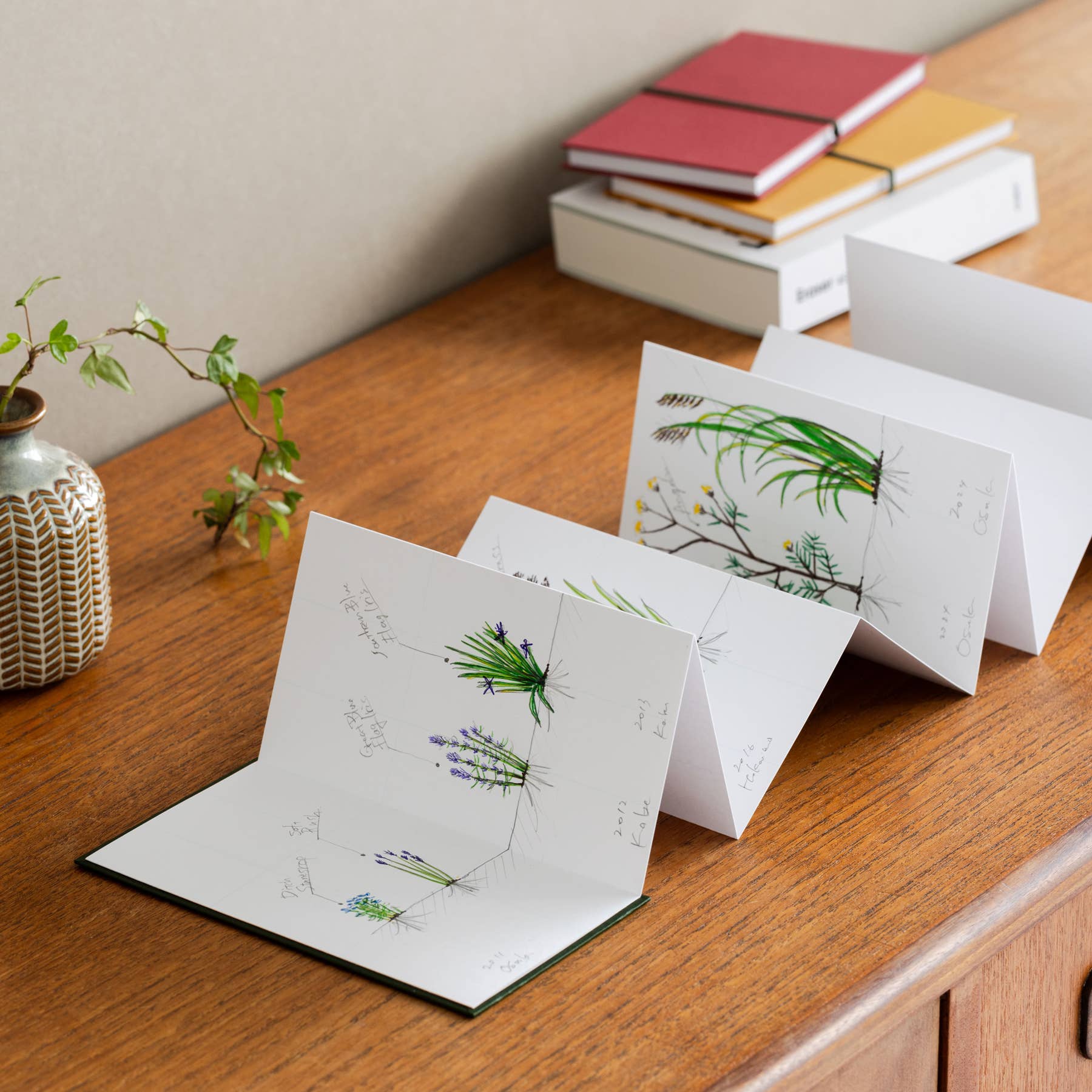 PANORAMA-NOTIZ - Togethery