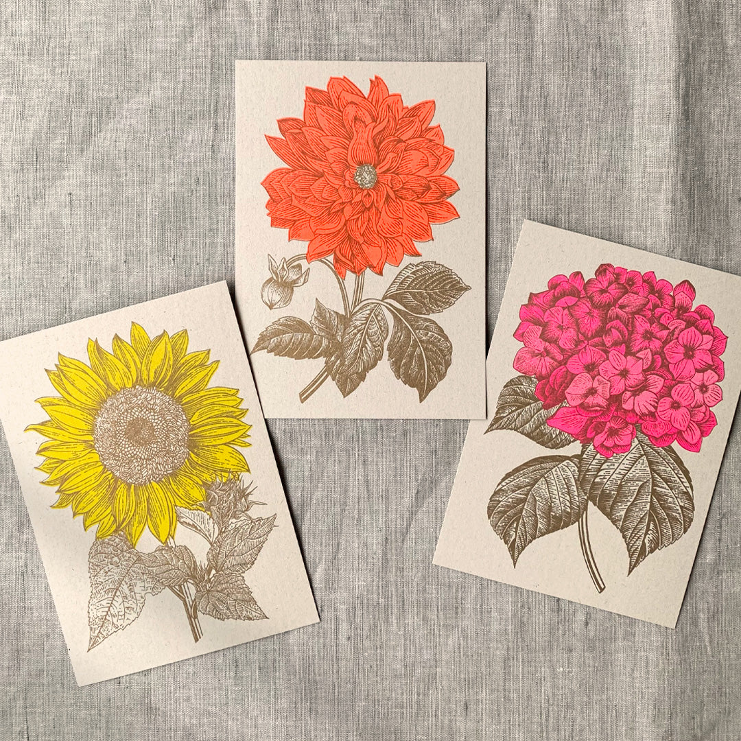 Postkarte / Sonnenblume - Togethery