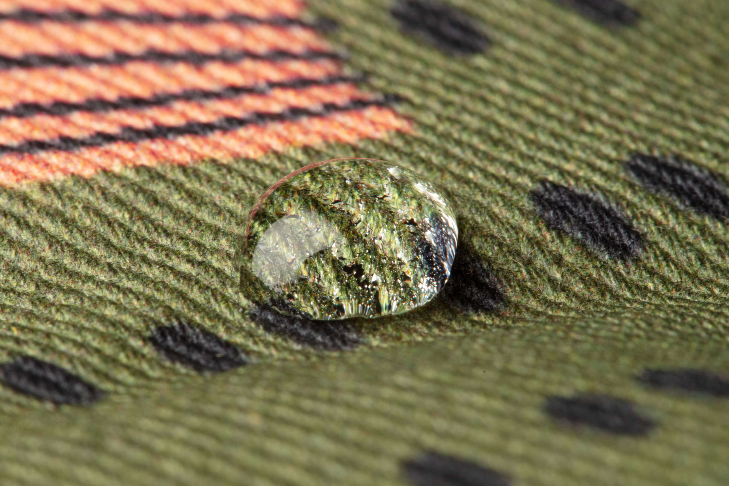 Gürteltasche für Erwachsene / Riffbarsch