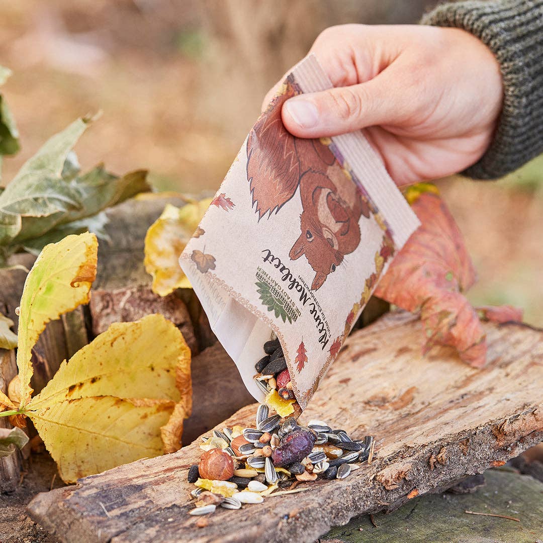 Kleine Mahlzeit für Eichhörnchen