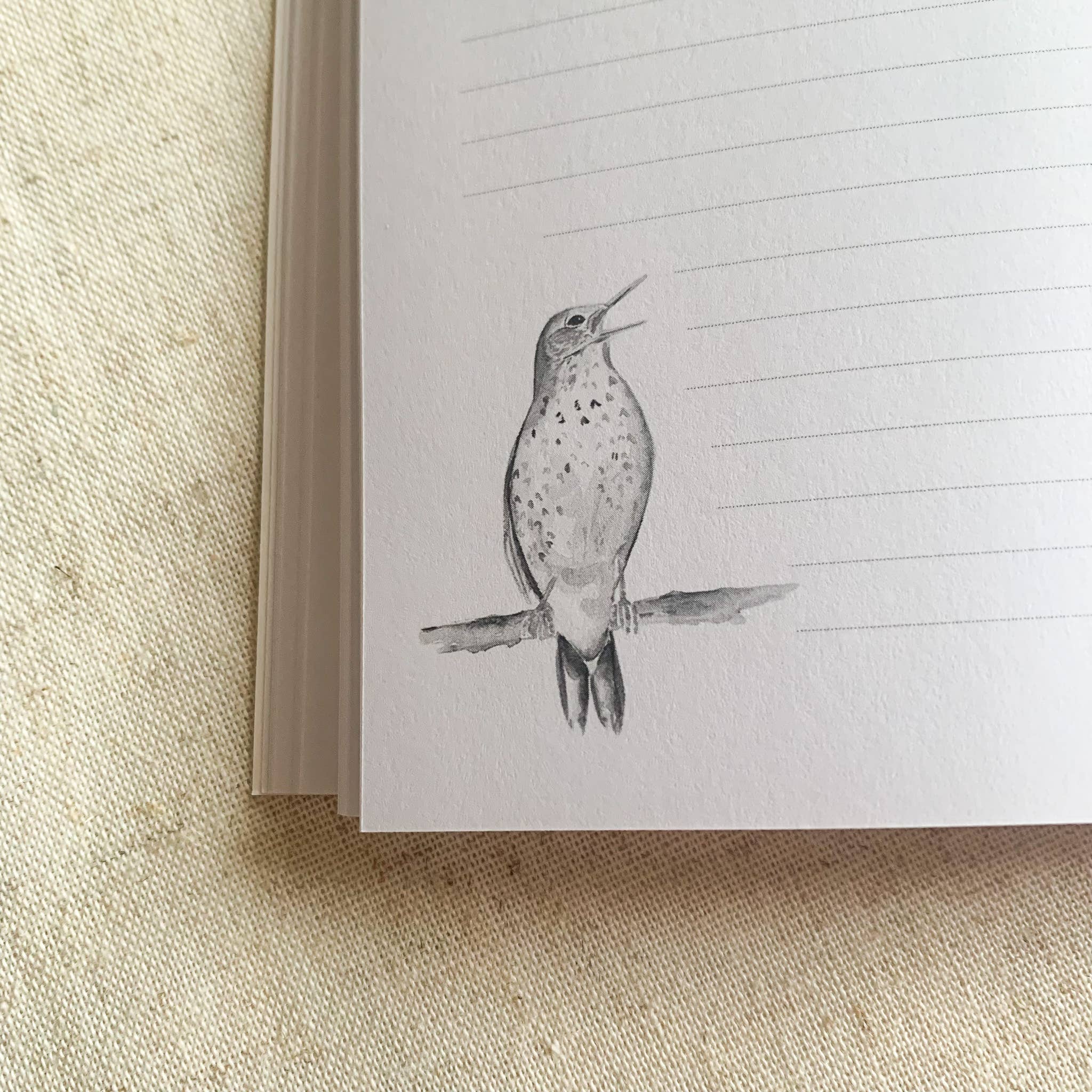 Notizbuch / A5 / Pfau 🦚 - Togethery