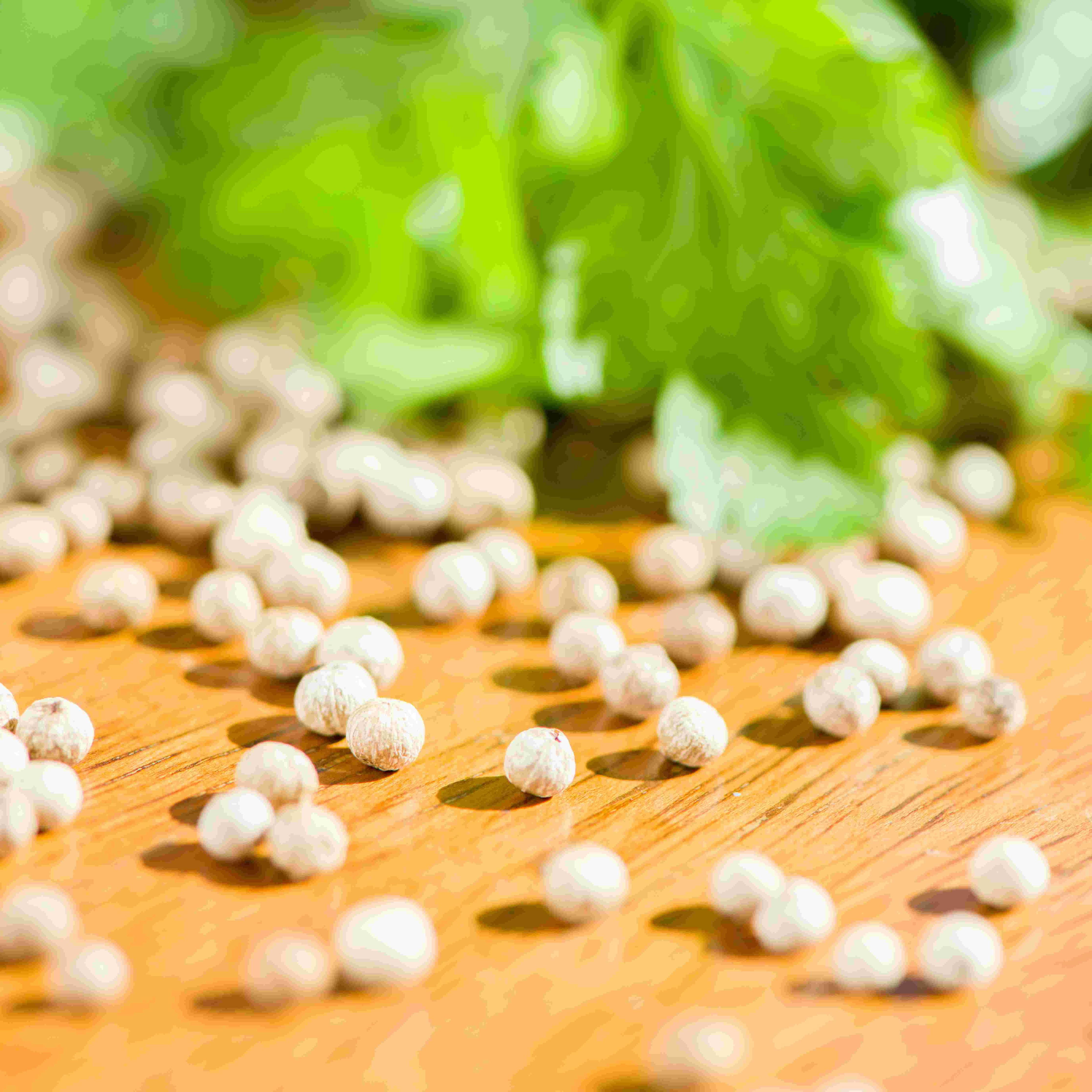 Weißer Pfeffer / Sri Lanka Blanc