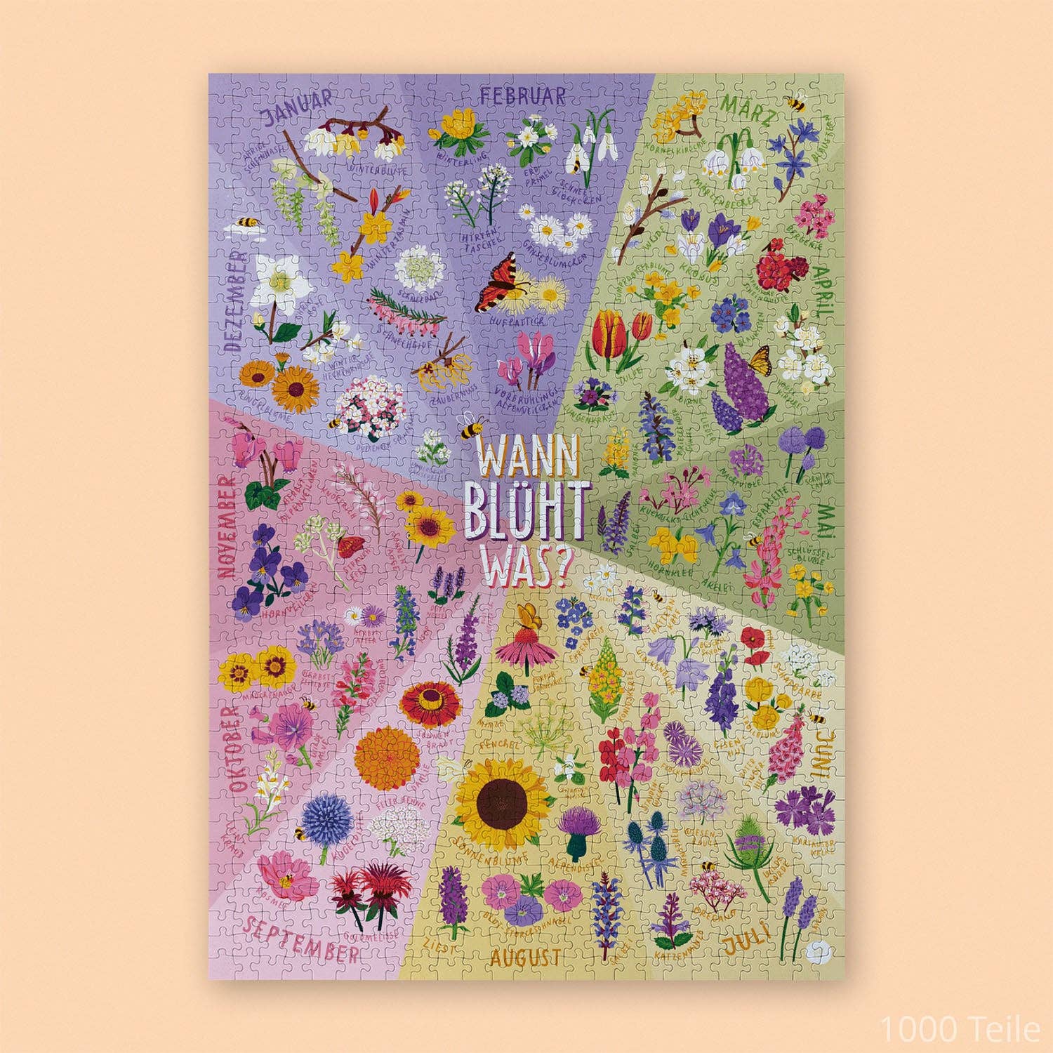 Wann blüht was Puzzle / Susanne Hofmann / Willa Wunst