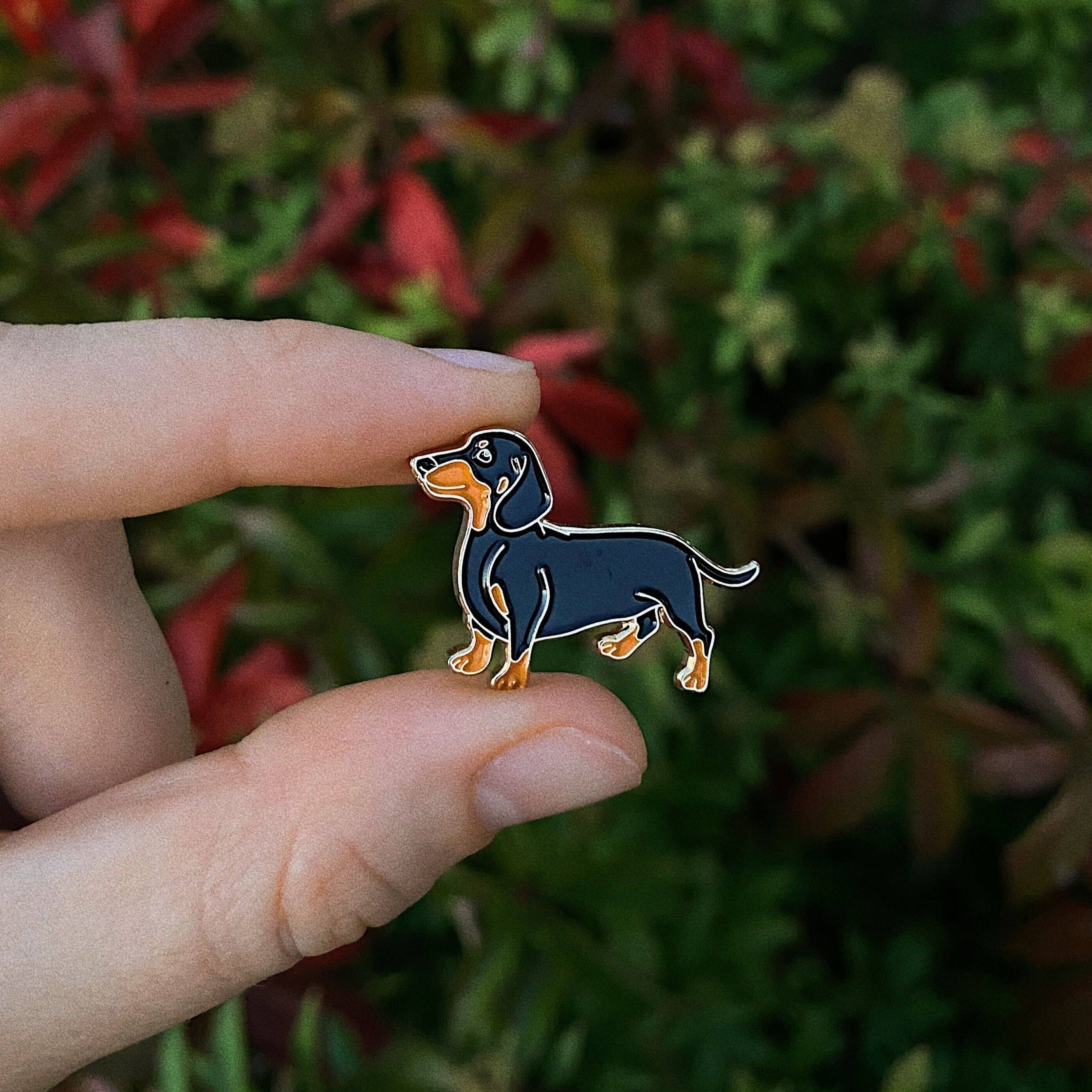 Pin / Dackel / Hund