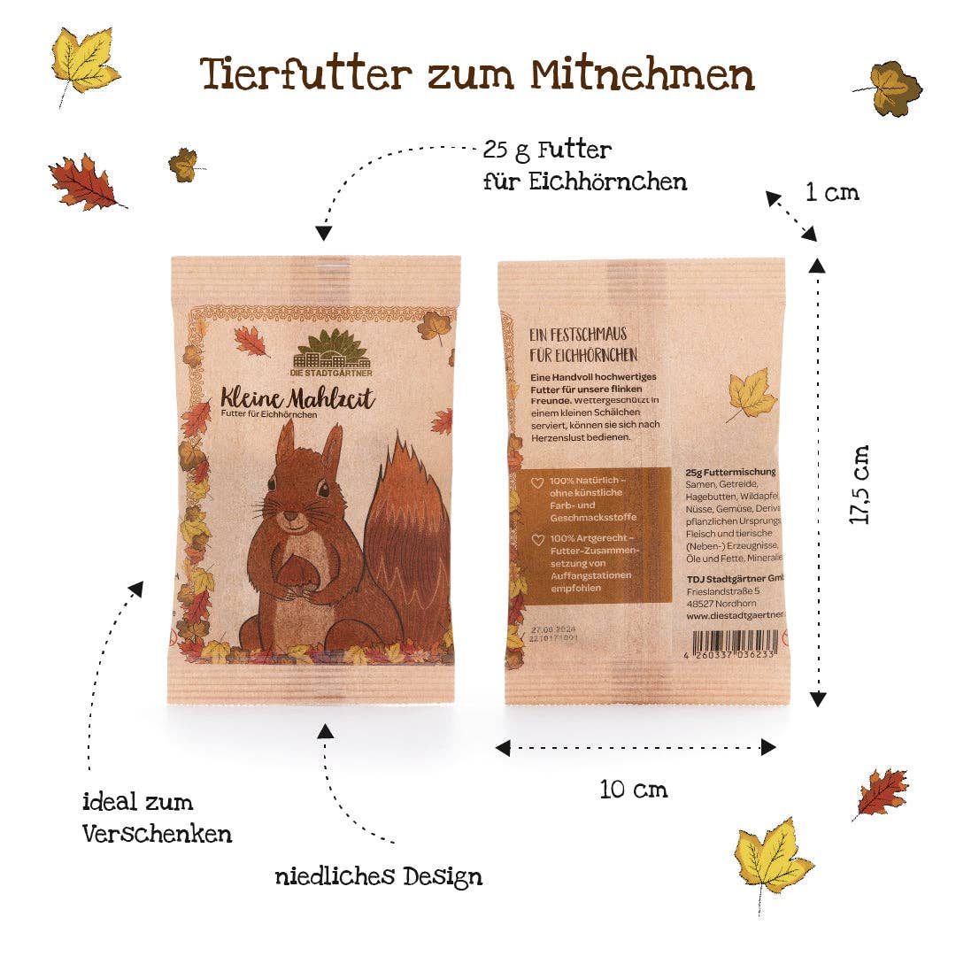 Kleine Mahlzeit für Eichhörnchen