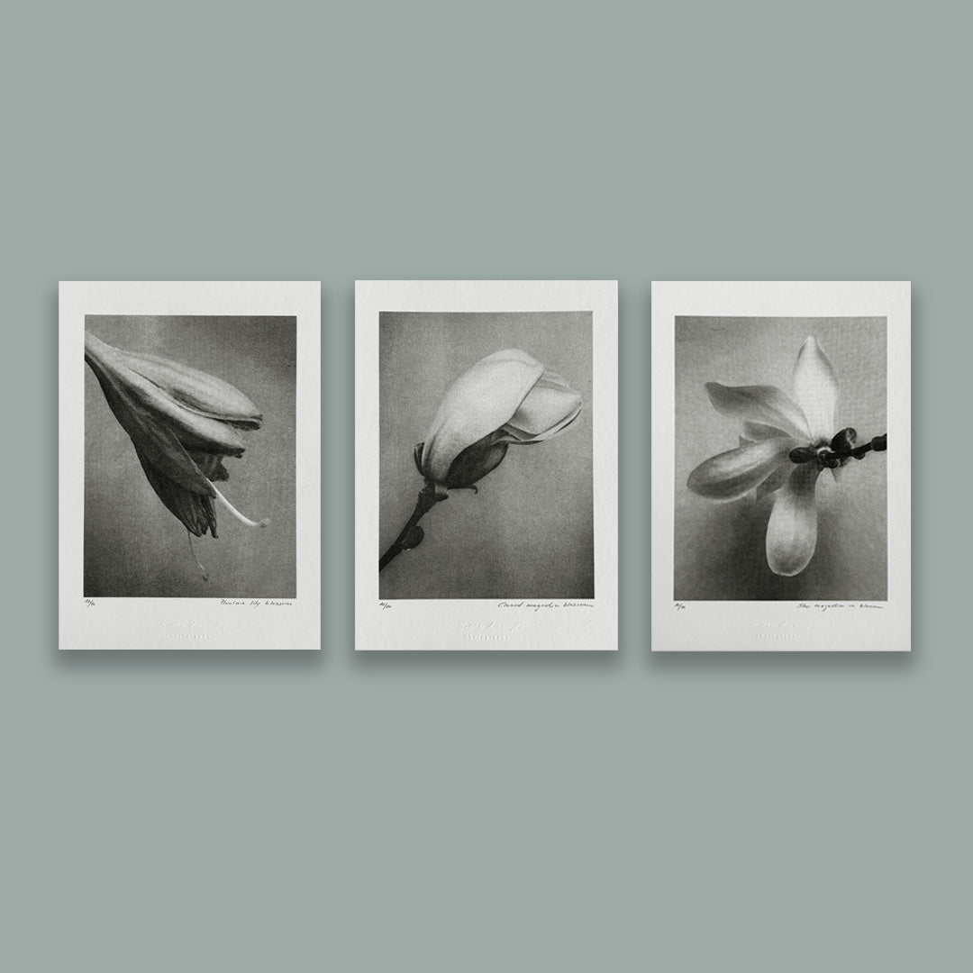 Riso Art Print – Closed magnolia blossom / A5 / Duplex / Limitierte Edition