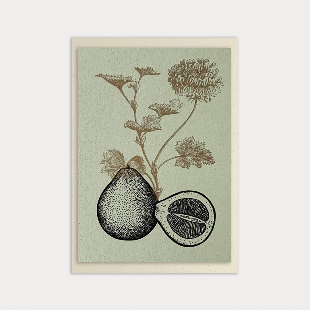 Blumengruß / Pelargonie / A6 / Eco Love - Togethery
