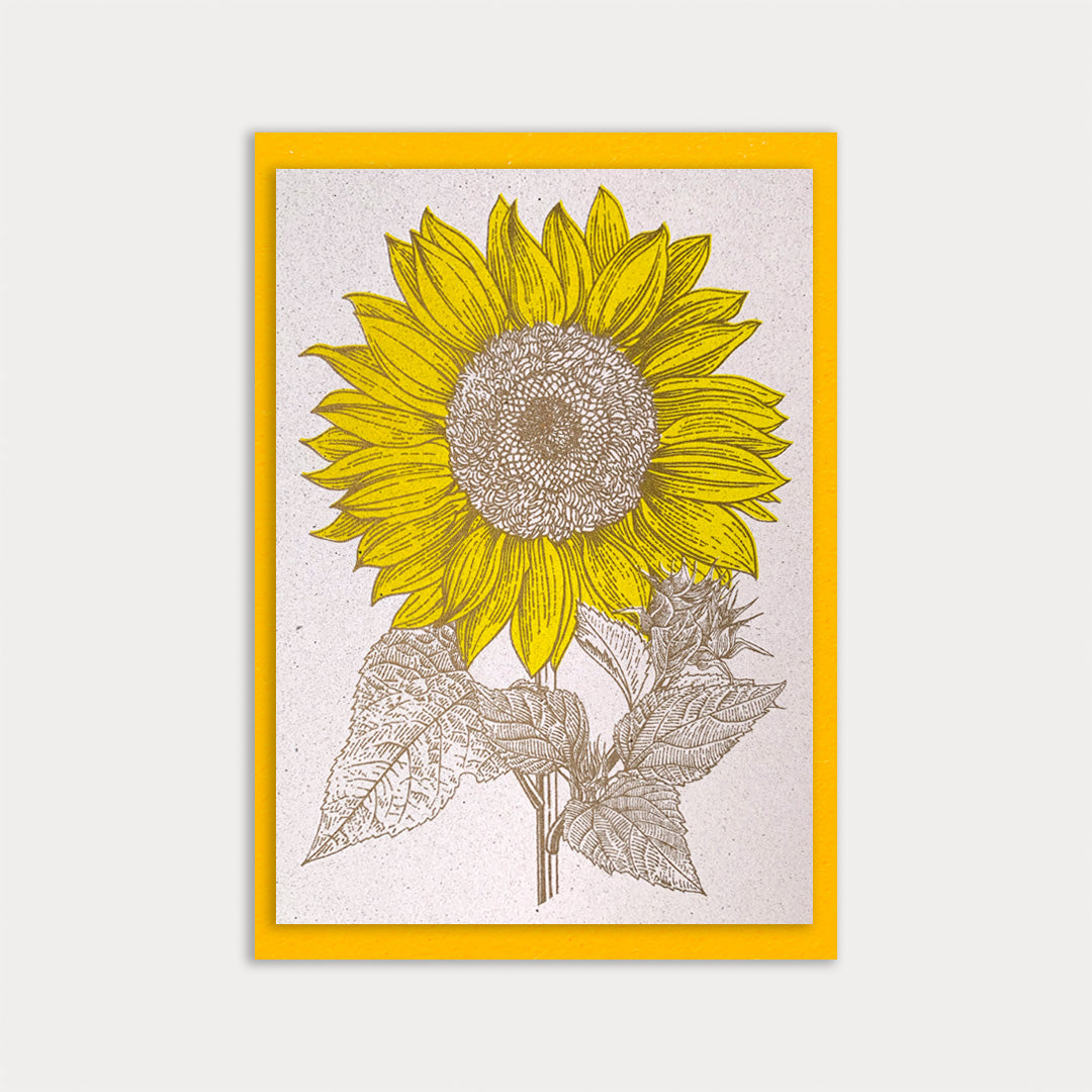 Blumengruß / Dahlie / Sonnenblume / Hortensie - Togethery