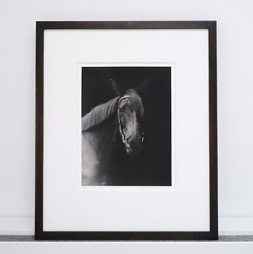 Print von einem Pferd in Bilderrahmen