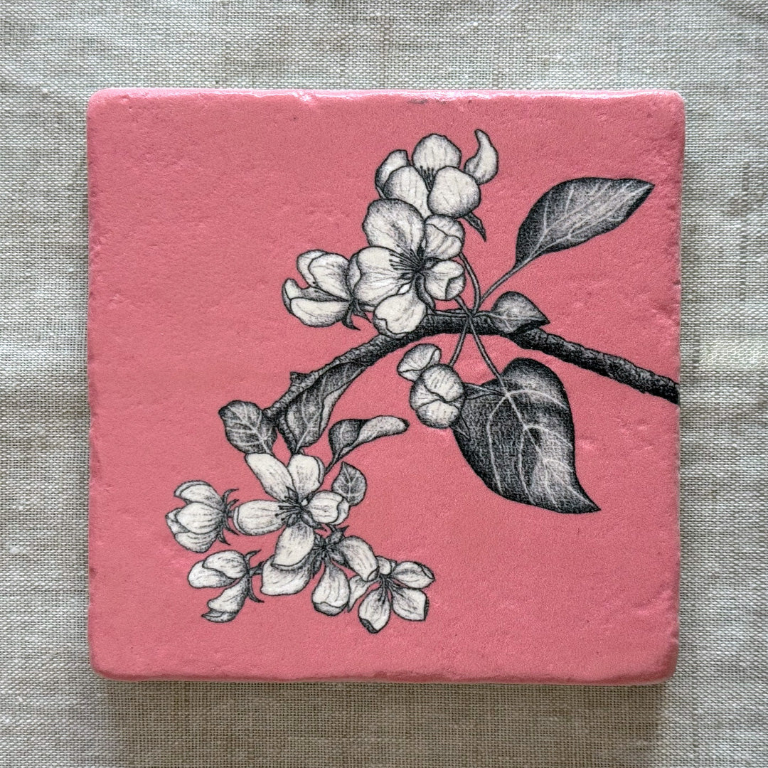 Fliese aus Naturstein / Apfelblüte