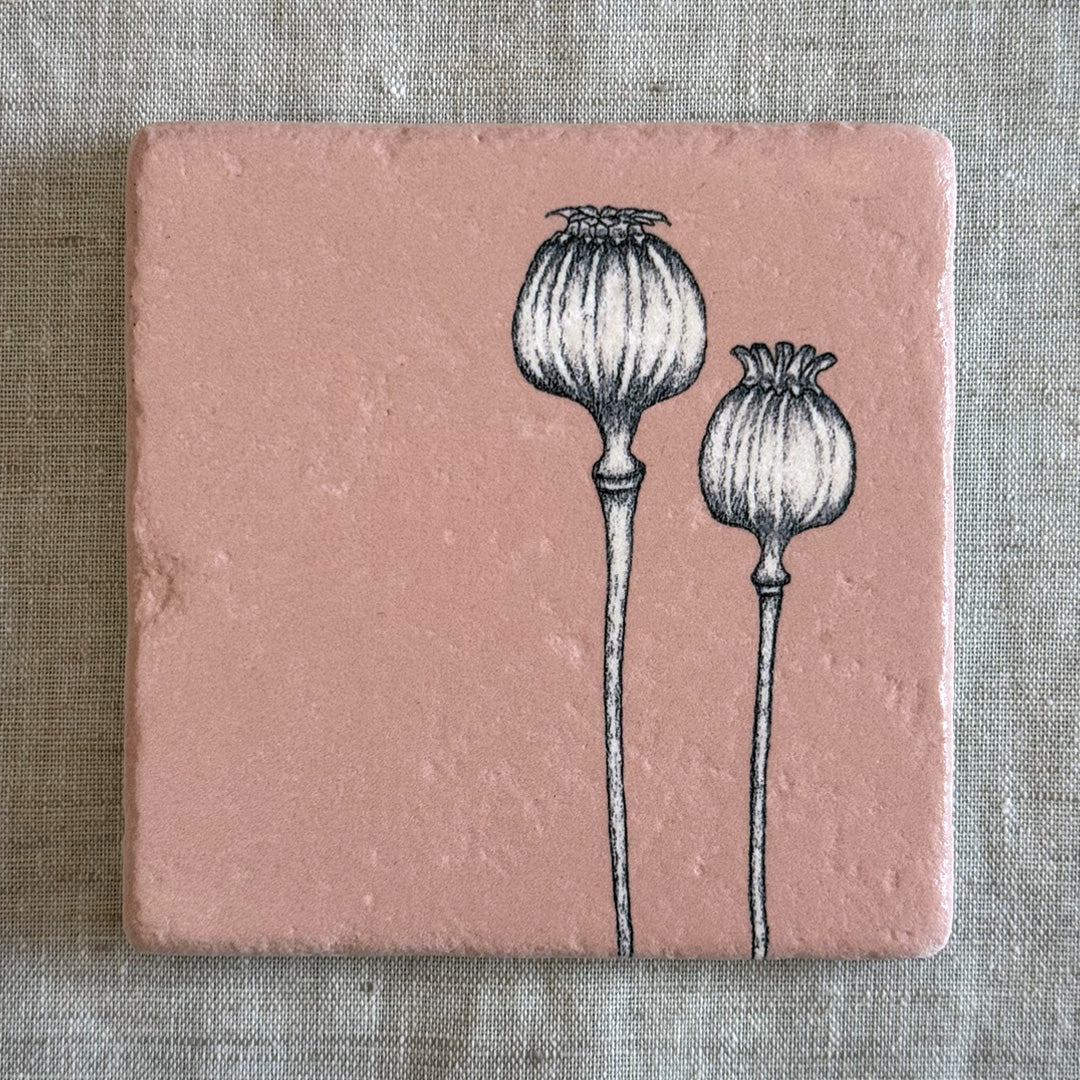 Fliese aus Naturstein / Mohnkapsel