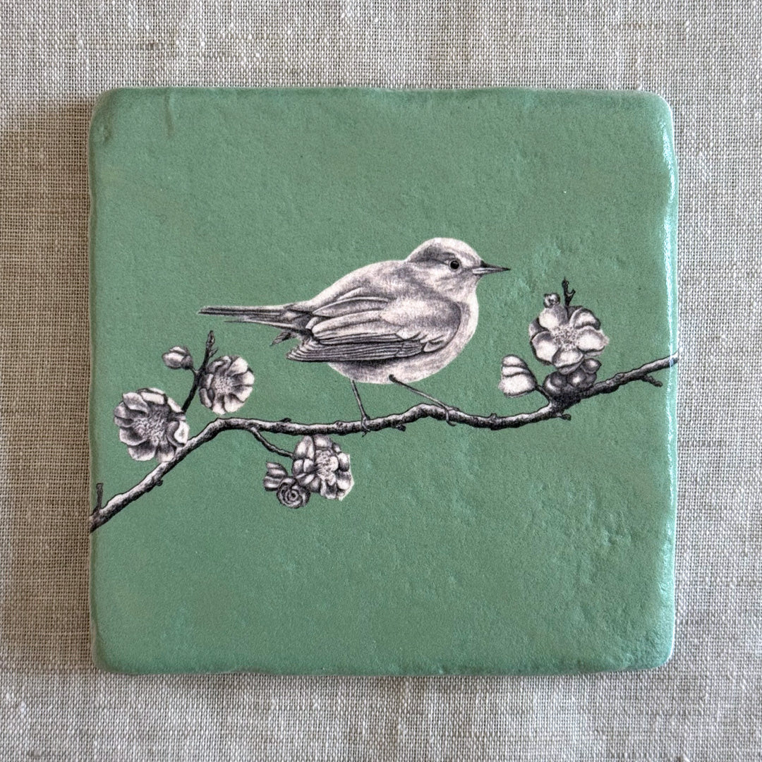 Fliese aus Naturstein / Nachtigal