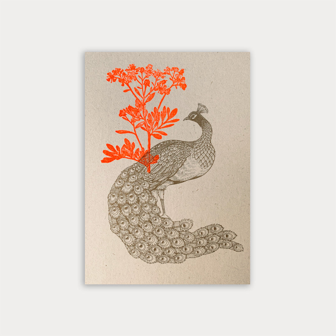 Postkarte / Pfau mit Blume - Togethery
