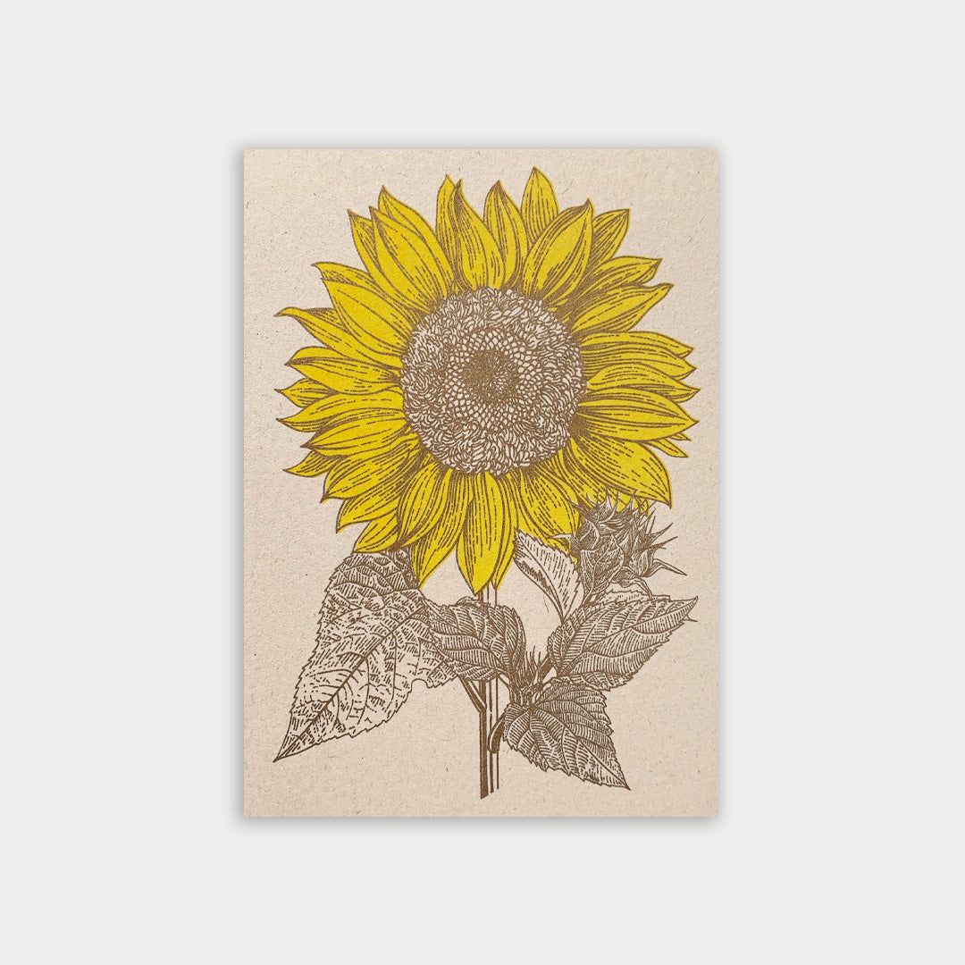 Postkarte / Sonnenblume - Togethery