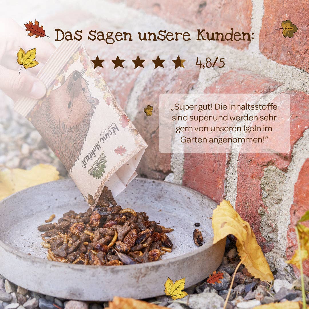 Kleine Mahlzleit für Igel