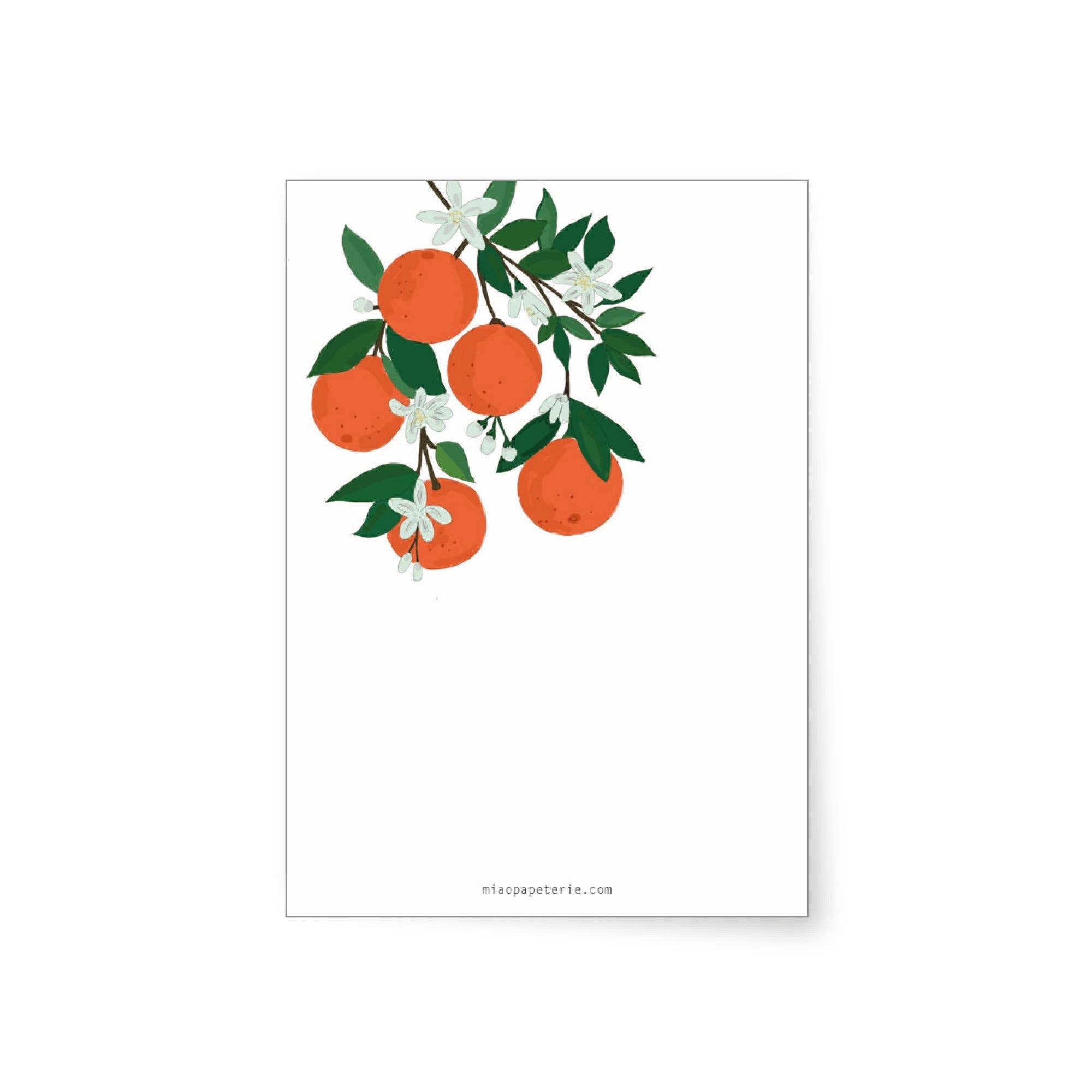 Orangen | Notizblock - Togethery