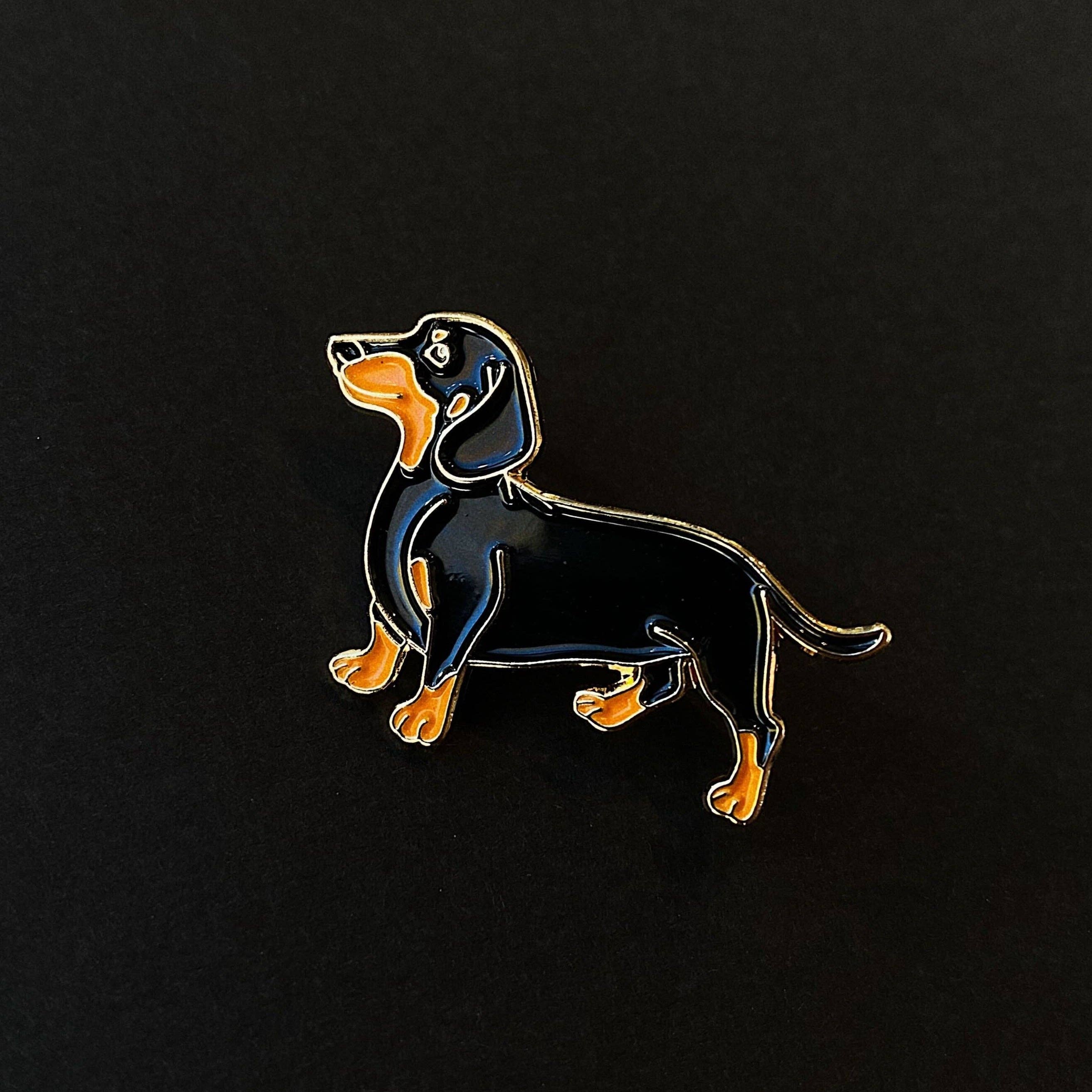 Pin / Dackel / Hund