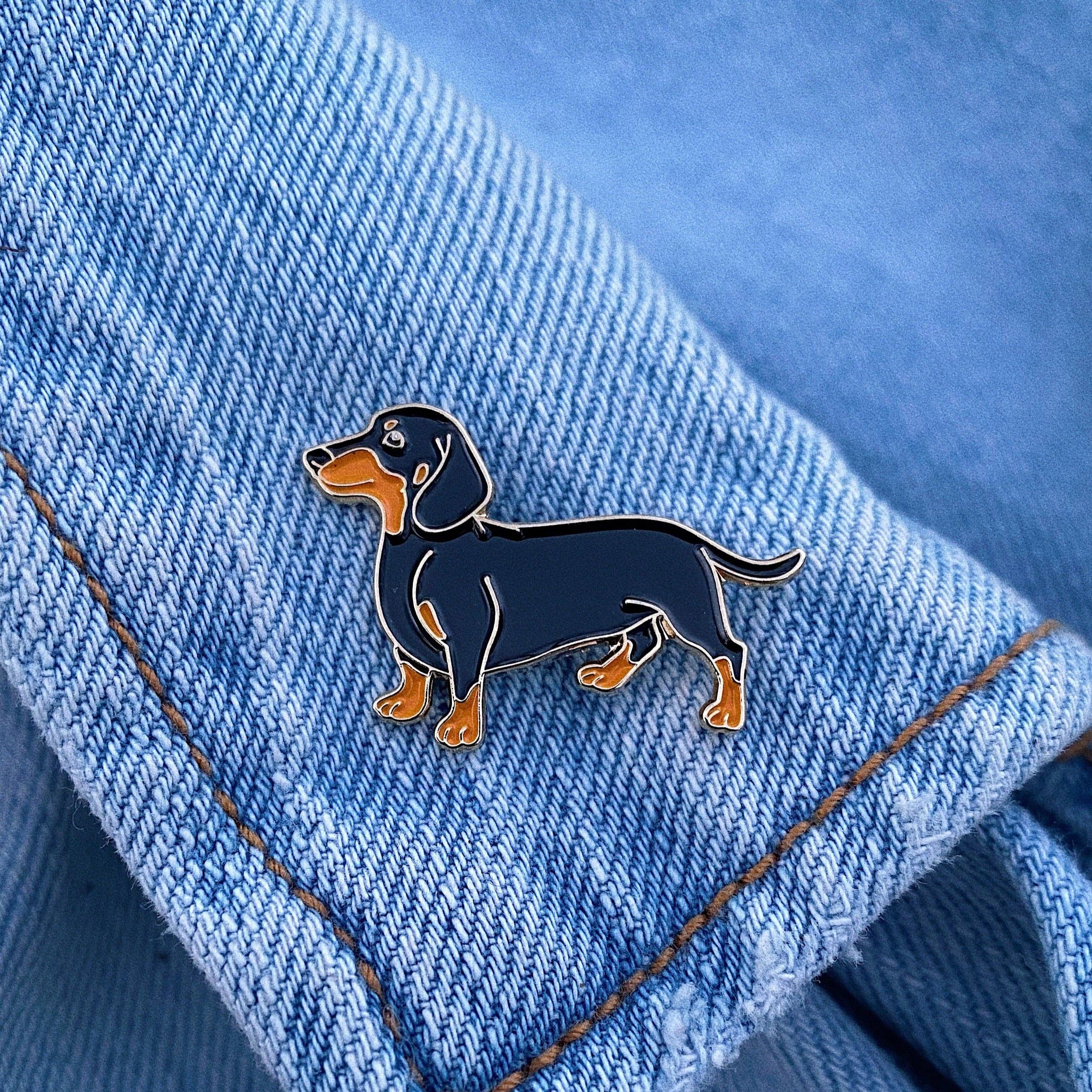 Pin / Dackel / Hund