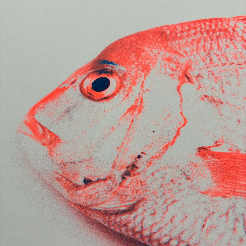 Fischauge Risographie