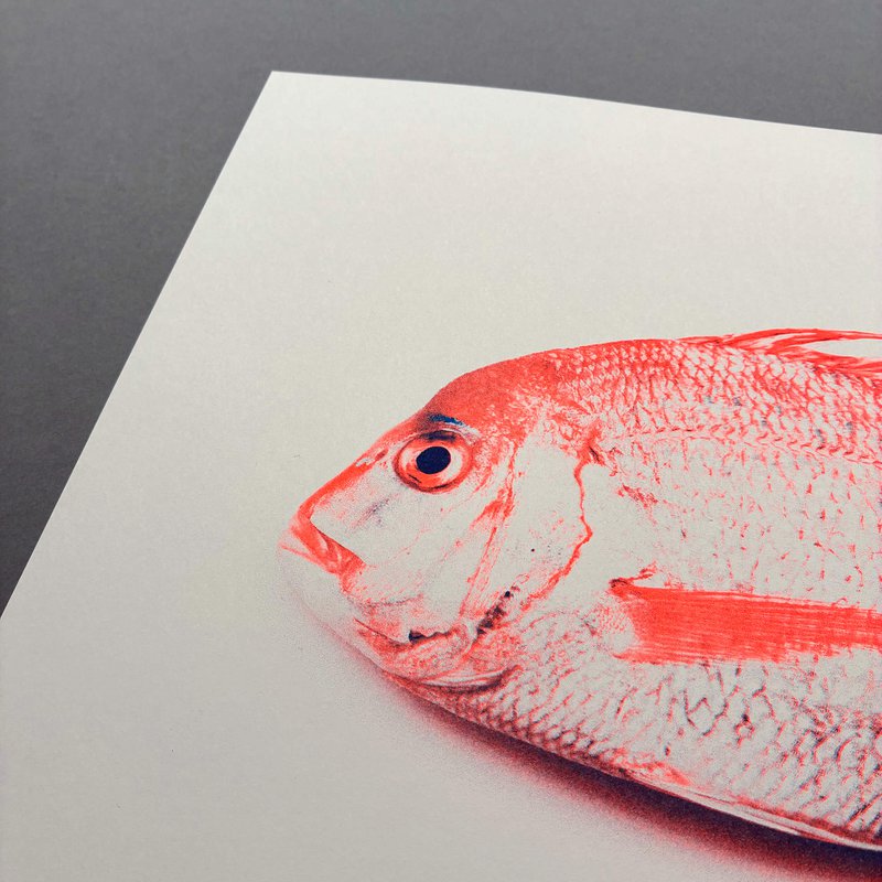 Riso Art Print / A3 / Fisch Keiko / Risographie