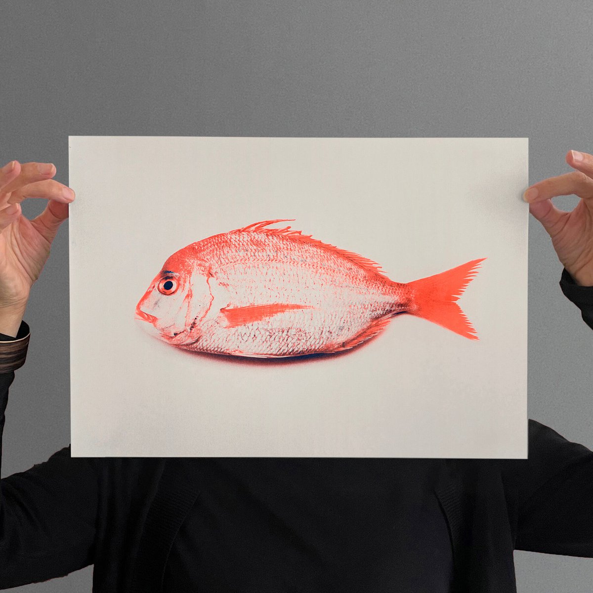 Riso Art Print / A3 / Fisch Keiko / Risographie