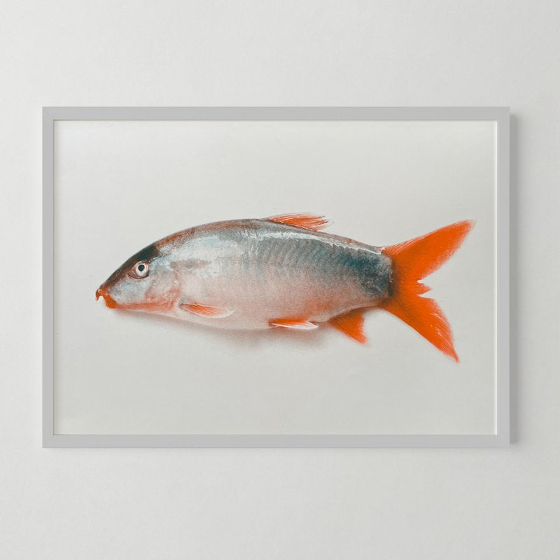 Neko in groß! DIN A3 Risographie Artprint ‘Fisch Neko’, gedruckt in zwei Riso Farben.