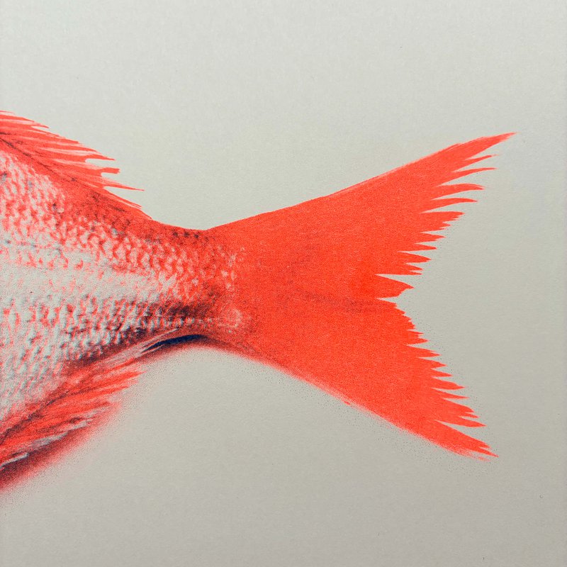 Flosse vom Fisch Siebdruck