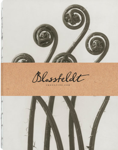 Notizbuch / Karl Blossfeldt