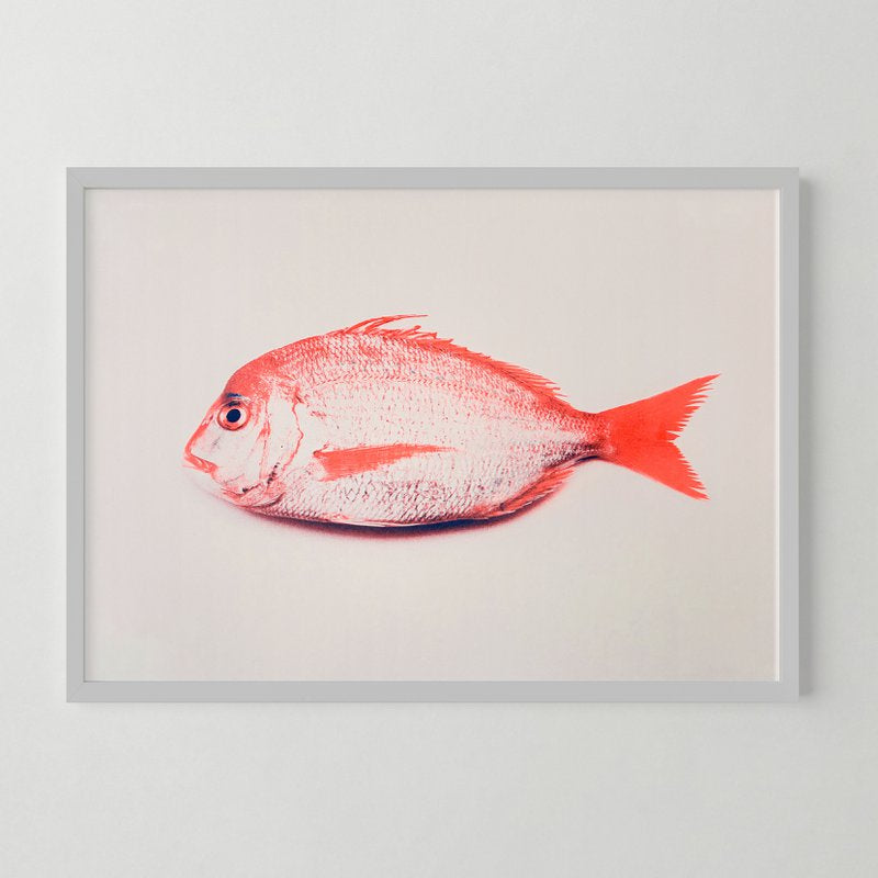 Riso Art Print / A3 / Fisch Keiko / Risographie