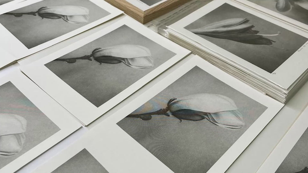 Film hinter den Kulissen Risographie Druck