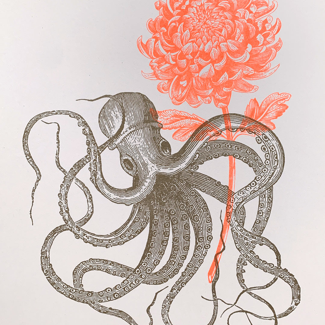 Oktopus mit Blume / A4 - Togethery