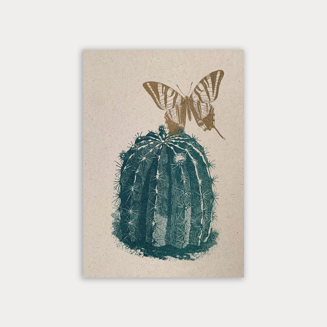 Postkarte / Kaktus mit Schmetterling / Ökopapier - Togethery
